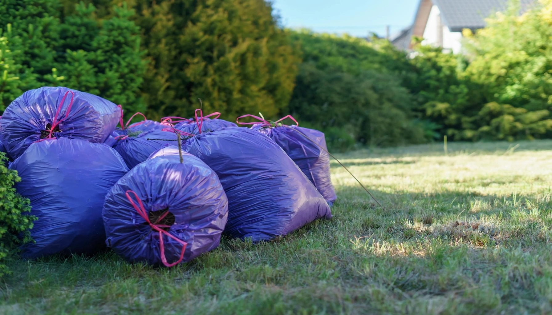 Several plastic trash bags lay on a lawn in Saskatoon.